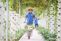 Bac Giang aumenta el valor de la producción agrícola