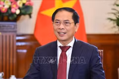 Crean nuevo impulso para nexos entre Vietnam y China 
