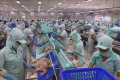 Intercambio comercial Vietnam-Australia reporta señales positivas