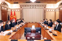 Efectuarán octava edición del Festival Vietnam-Japón en Ciudad Ho Chi Minh 