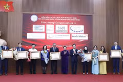 Siete ONG recibieron certificado de mérito por sus aportes al desarrollo de Vietnam