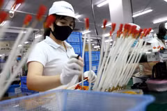 Vietnam prioriza crear condiciones favorables para empresas extranjeras 