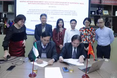 Vietnam intensifica cooperación en desarrollo de ganadería en Nigeria