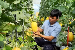 Provincia vietnamita de Ninh Thuan dedica fondo millonario a reducción de pobreza sostenible