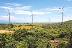 Vietnam, “destino verde” de inversionistas de Bélgica