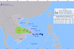 Vietnam sufre affectations del tifón SONCA