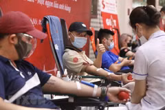 Lanzarán en Hanoi festival de donación de sangre “Primavera Roja” en febrero