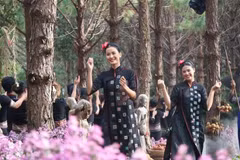 Efectúan en provincia vietnamita desfile de traje de brocado