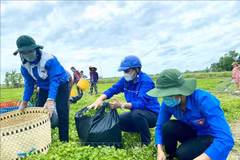 Mes de la Juventud 2022: unidos para construir nueva zona rurales en Vietnam
