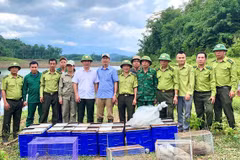 Liberan al hábitat natural 56 ejemplares de animales salvajes raros en Vietnam