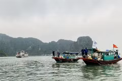 Ciudad de Ha Long se esfuerza por reducir contaminación marina