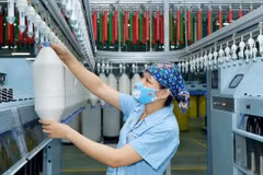 Banco regional apoya a desarrollar tecnologías financieras en Vietnam