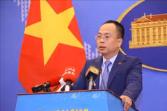 Cancelan subasta de ordenaciones de origen vietnamita en China