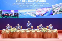  Premier vietnamita insta a impulsar papel del desarrollo de delta del río Rojo 