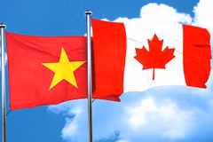Vietnamitas en Canadá expresan grata impresión por desarrollo de la Patria