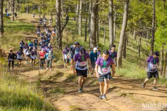 Efectuarán maratón internacional en localidad vietnamita 