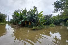 Primer ministro pide respuestas proactivas a riesgos de inundaciones en región central
