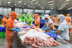 México, octavo mayor importador de atún de Vietnam