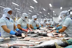 Empresas vietnamitas aprovechan subproductos del pescado Tra