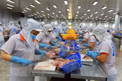 Mexico, un mercado potencial para exportaciones de Vietnam