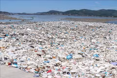 Activo Vietnam en negociaciones sobre acuerdo global de contaminación plástica