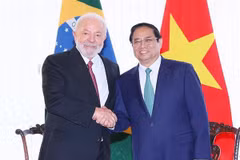 Vietnam y Brasil fomentan amistad tradicional y cooperación