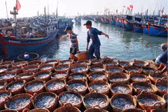 Vietnam necesita unos 382 millones de USD para proteger y explorar recursos marítimos