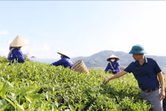 Tasa de pobreza multidimensional baja al 2,93%