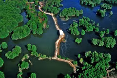 Nominan bosque de protección de Can Gio en lista de sitios Ramsar