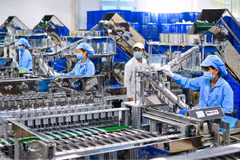 Publican informe sobre inversión extranjera directa en Vietnam