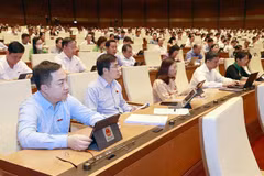 Evalúa Parlamento vietnamita uso de recursos para lucha contra COVID-19