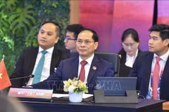 Vietnam asiste a reuniones de ministros de Relaciones Exteriores de ASEAN+1 