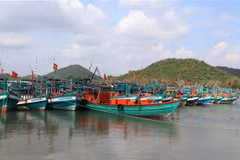Vietnam emite Plan de acción para combatir pesca ilegal