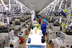 Ministerio de Vietnam estudia soluciones a impuesto mínimo global