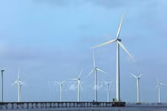 Transición a energías limpias garantizará biodiversidad de Vietnam