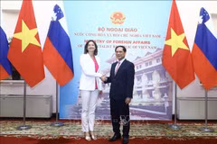 Vietnam aspira a fortalecer cooperación multifacética con Eslovenia