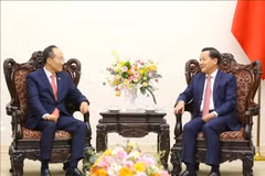 Cooperación económica, punto destacado en las relaciones Vietnam – Corea del Sur
