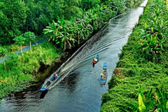 Proyecto millonario promueve ecoturismo en localidad survietnamita 