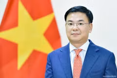 Vietnam apoya iniciativa comunitaria Cero Emisiones de Japón, afirma embajador