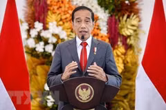 Indonesia poseerá la mayor planta de baterías para vehículos eléctricos del Sudeste Asiático