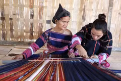Mujeres de la etnia Ede preservan el tejido tradicional de brocado