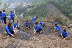 Mejoran conciencia de jóvenes vietnamitas sobre protección ambiental