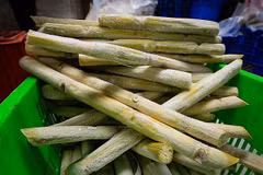 Exportan más de 17 toneladas de caña de azúcar fresca al mercado estadounidense