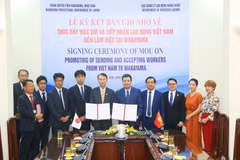 Vietnam y Japón fortalecen cooperación en trabajo y empleo
