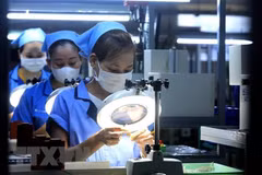 Periódicos alemanes elogian potencial de desarrollo de Vietnam