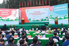 Premier vietnamita lanza siembra de árboles por motivo del Tet 2023