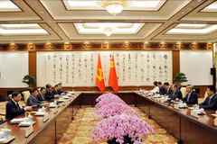 Partidos de Vietnam y China fortalecen cooperación en control disciplinario