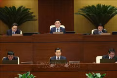 Parlamento de Vietnam realiza sesiones de interpelación
