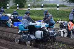 Tailandia se esfuerza por innovar en agricultura