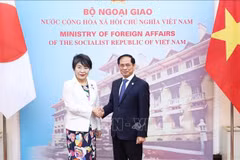 Abogan por agilizar implementación de AOD japonesa en Vietnam